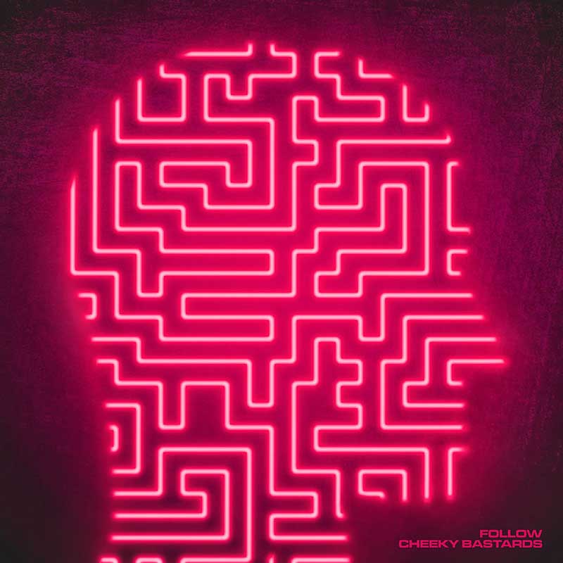 Albumin-singlen kannen suunnittelu, Therwiz Design